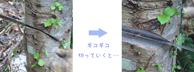 用意スタート